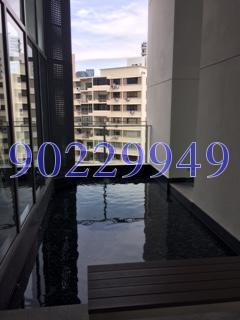 Starlight Suites (D9), Apartment #123655602